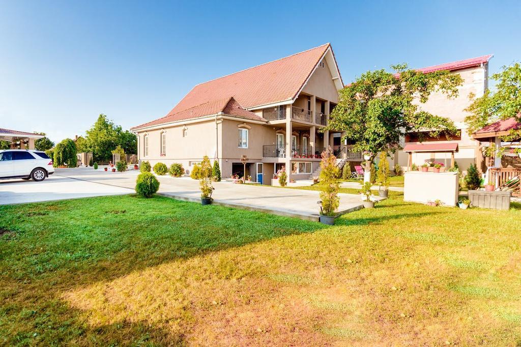 Casa Iulia Hotel Hateg Ngoại thất bức ảnh
